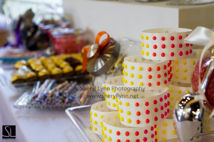 cb4 madison wedding photographer